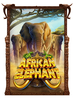 African Elephant