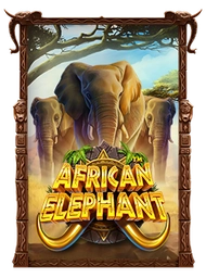 African Elephant