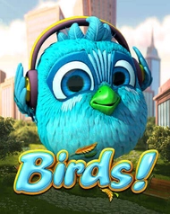 Birds!